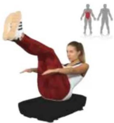 Sportstech VP150 - Oblique abdominal muscle - 2