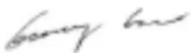 GREENWORKS G40LM41K2 - EC DECLARATION OF CONFORMITY FOR MACHINERY - 1