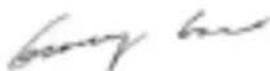GREENWORKS G40LM41K2 - תְקַרָה בְּרָה בְּרָה - 1