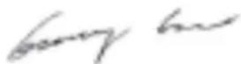 GREENWORKS G40LM41K2 - GARANTIPERIODE - 1