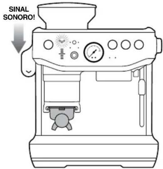 SINAL SONORO!