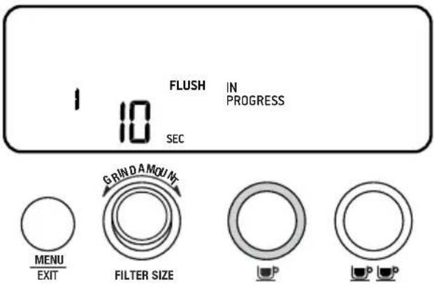SAGE The Barista Pro BES878 - CICLO DE PRIMEIRA UTILIZAÇÃO - 1
