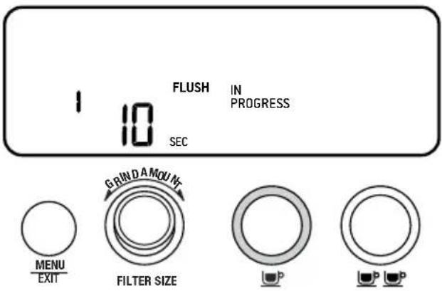 SAGE The Barista Pro BES878 - FIRST USE CYCLE - 1