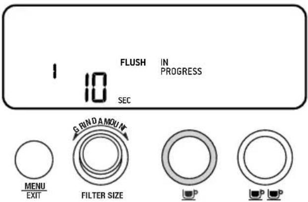 1 10 FLUSH IN PROGRESS SEC G RIND A MOUNT MENU EXIT FILTER SIZE