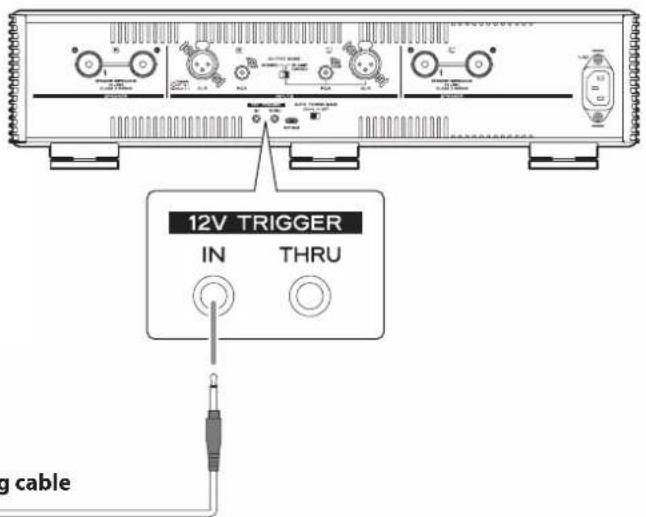 12V TRIGGER IN THRU g cable