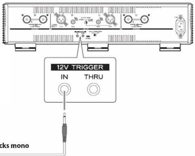 12V TRIGGER IN THRU cks mono