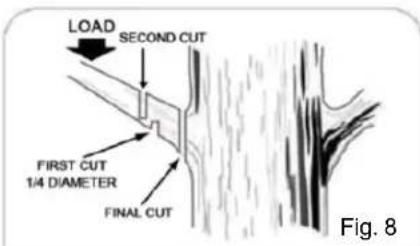 Scotts CLPS40020S - Following proper cutting procedures will prevent stripping bark from the main member. - 1