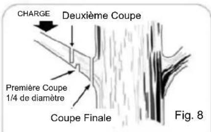 Scotts CLPS40020S - Le respect des procédures de coupe appropriées empêchera l'écorce de se détacher de l'élément principal. - 1