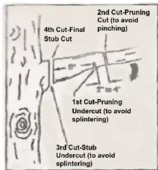Scotts PS45010S - PRUNING - 1