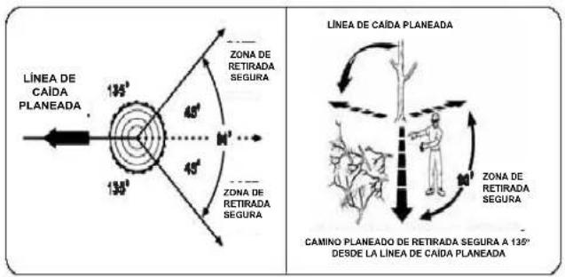 Scotts LCS31020S - FUNCIONAMIENTO - 2