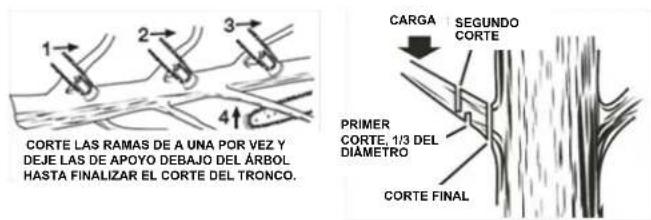 Scotts LCS31020S - CORTE DE RAMAS - 1