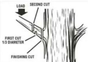 Scotts LCS31020S - LIMBING - 2