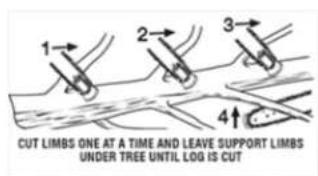 Scotts LCS31020S - LIMBING - 1