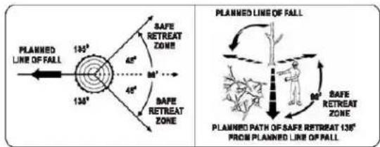 Scotts LCS31020S - FELLING A TREE - 1