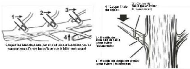Scotts LCS31020S - ÉBRANCHAGE - 1