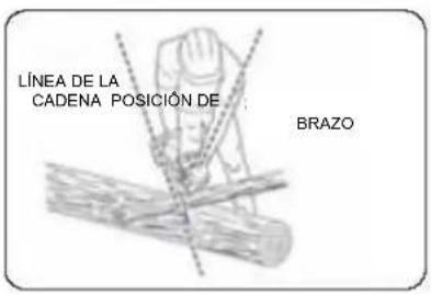 Scotts LCS31020S - FUNCIONAMIENTO - 1