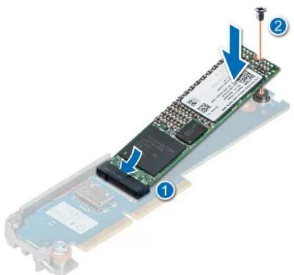 DELL PowerEdge R660xs - 步骤 - 1