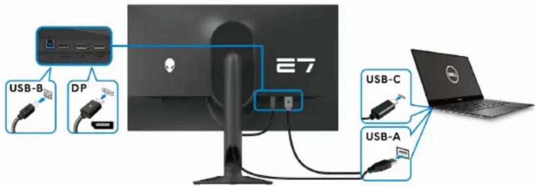 ALIENWARE AW2724DM - Connexion des câbles DisplayPort (USB-C à DP) et USB - 1