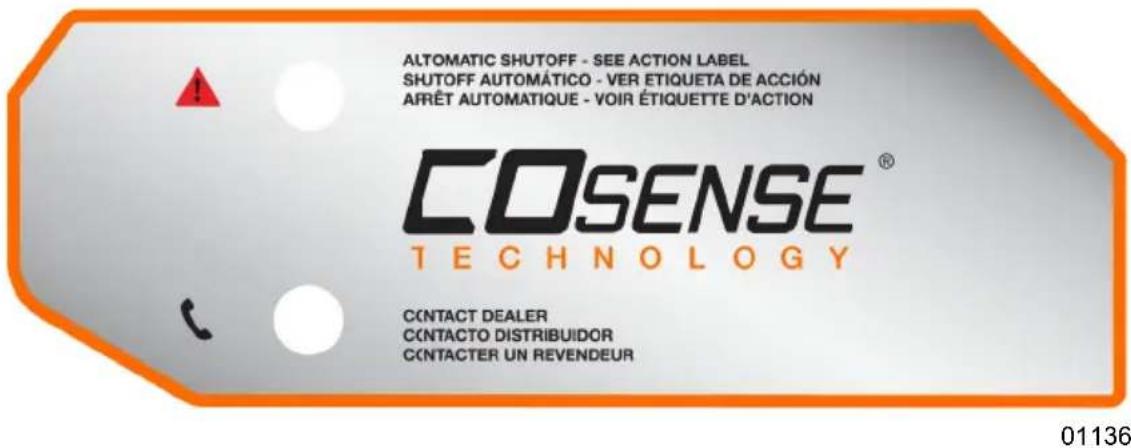 Generac GP18000EFI - Carbon Monoxide (CO) Detection and Shut-off System (if equipped) - 2
