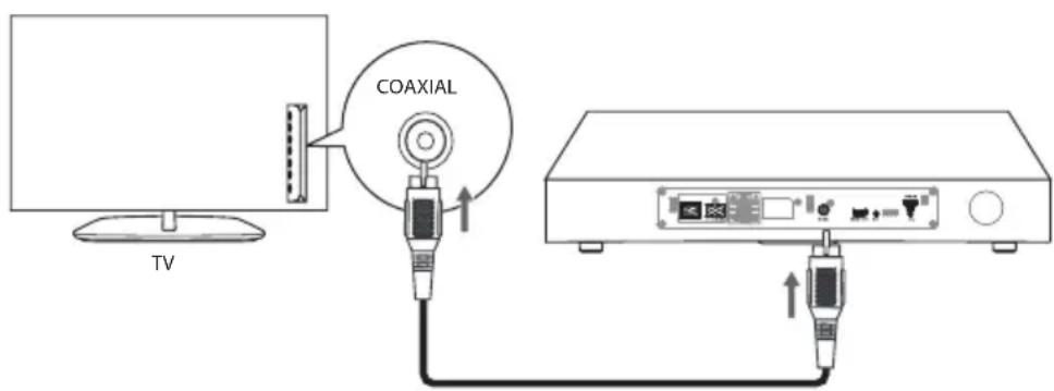 AudioAffairs TVS 264 - PRISE DE RACCORDEMENT COAXIAL - 1