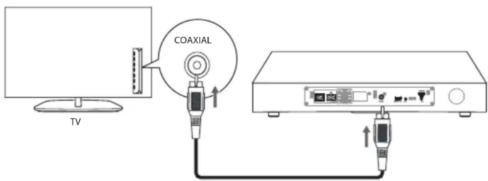 AudioAffairs TVS 264 - COAXIAL-ANSCHLUSS - 1