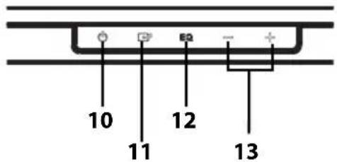 10 11 12 13
