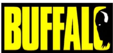 BUFFALO GH160 - Dicas de segurança - 2