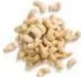H.KOENIG OLY900 - ACCEPTED SEEDS - 4