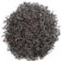 H.KOENIG OLY900 - ACCEPTED SEEDS - 19