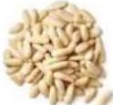 H.KOENIG OLY900 - ACCEPTED SEEDS - 17