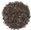 H.KOENIG OLY900 - ACCEPTED SEEDS - 3