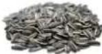 H.KOENIG OLY900 - ACCEPTED SEEDS - 12