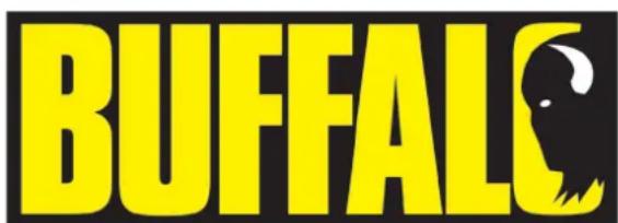 BUFFALO DM869 - Veiligheidstips - 1