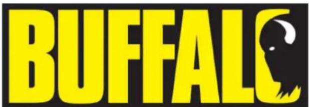 BUFFALO GF439 - Dicas de segurarca - 2
