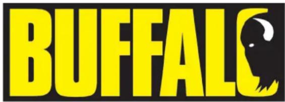 BUFFALO DM868 - NOTES - 1