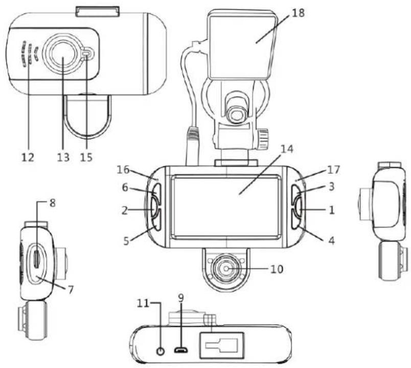 BRAUN BR57605 - Structure - 1