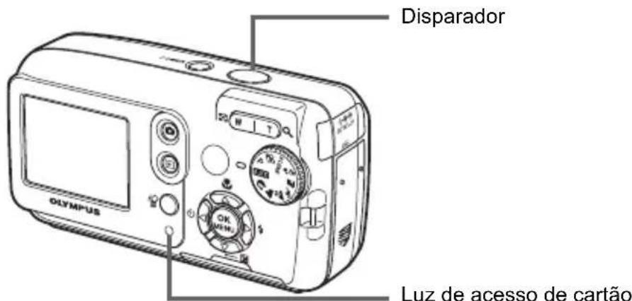 OLYMPUS Camedia X550 - Compor a sua imagem. - 1
