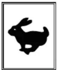 Lescha BELLE RTX 66 - Road Transport - 8
