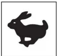 Lescha BELLE PCLX 320 - B - Noise Decal (800-99942) - 1