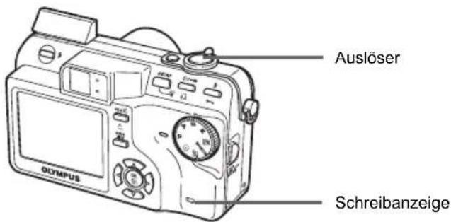 Auslöser Schreibanzeige Olympus