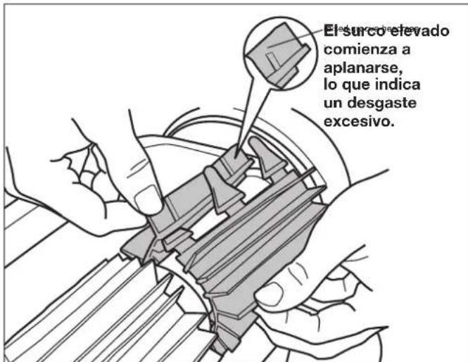 POLARIS PHENOM iQ+ - Reemplazo de piezas desgastadas Reemplazo de cepillos - 1