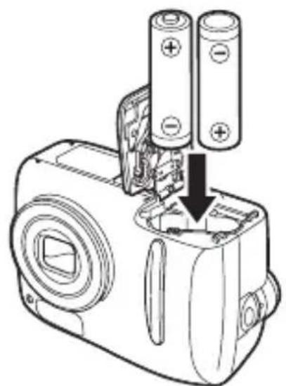 OLYMPUS Camedia D535 Zoom - Legen Sie die Batterien wie in der Abbildung gezeigt mit der richtigen Polarität ein. - 1