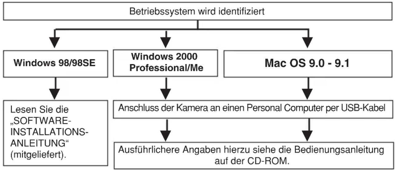 OLYMPUS Camedia D40 Zoom - BILDÜBERTRAGUNG AUF EINEN PERSONAL COMPUTER - 1