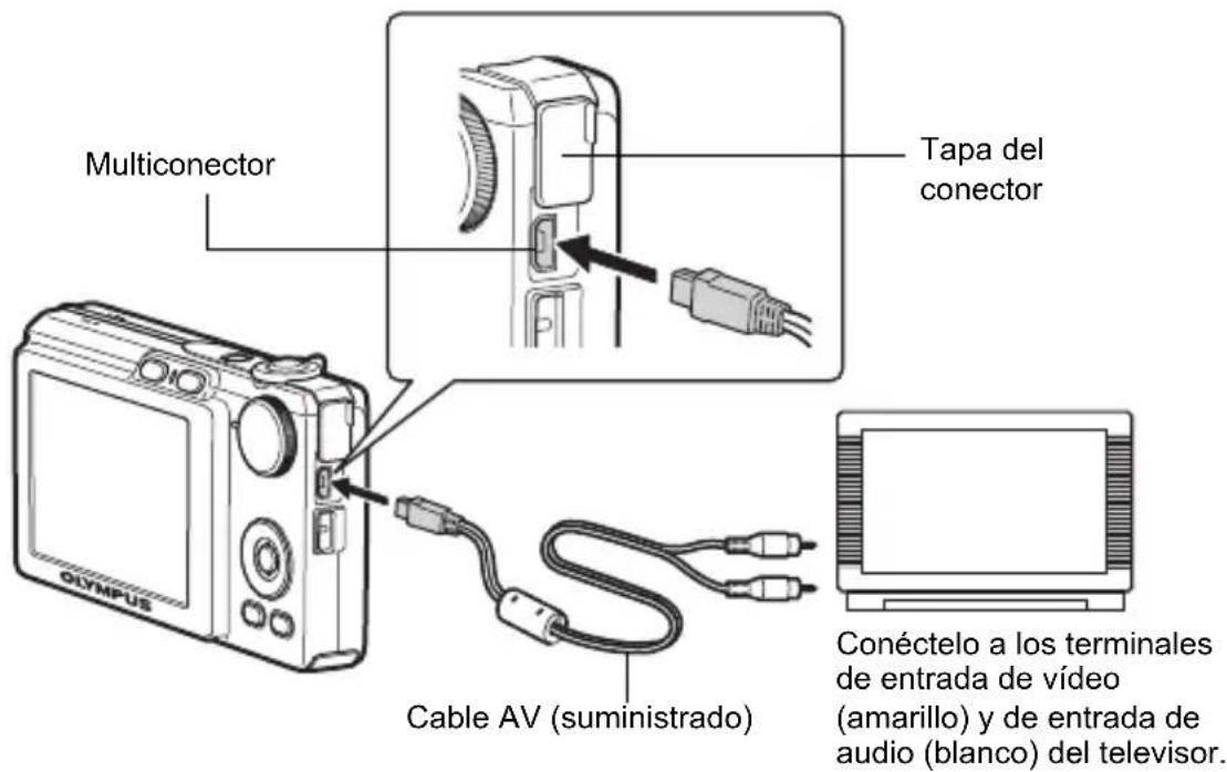 OLYMPUS FE220 - Reproducción en un televisor - 1