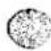 NIKON N8008S - 展開図の見方 How to use explosion drawings - 6