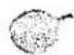 NIKON N8008S - 展開図の見方 How to use explosion drawings - 10