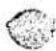 NIKON N8008S - 展開図の見方 How to use explosion drawings - 8
