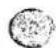 NIKON N8008S - 展開図の見方 How to use explosion drawings - 9