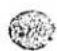 NIKON N8008S - 展開図の見方 How to use explosion drawings - 3