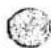 NIKON N8008S - 展開図の見方 How to use explosion drawings - 7